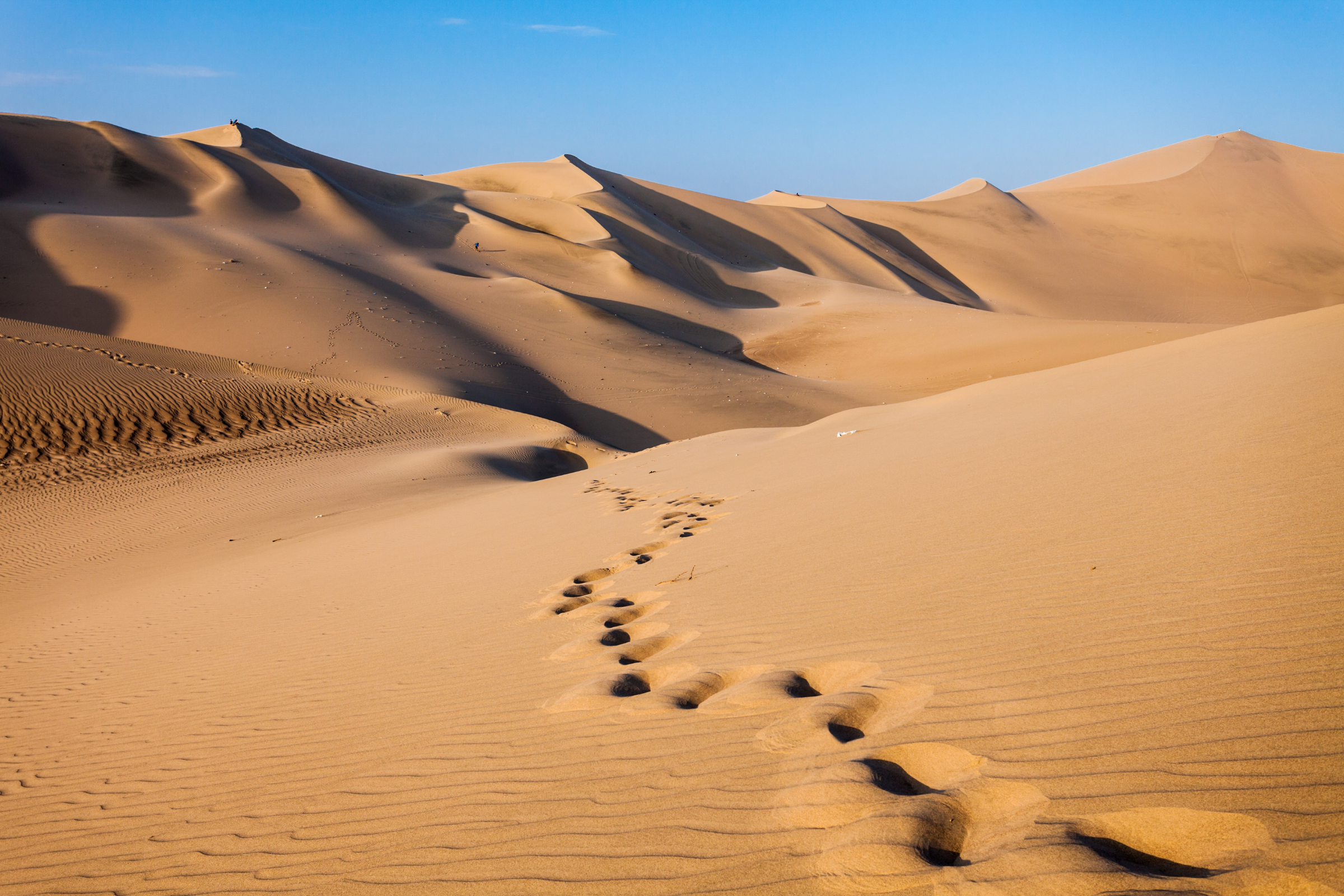 atacama desert, south america.webp